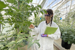 Ellie Krieder in the lab with plants